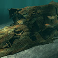 König Wreck