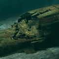 Markgraf Wreck